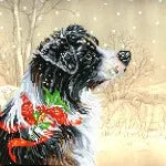 DIAMOND DOTZ  Christmas Collie