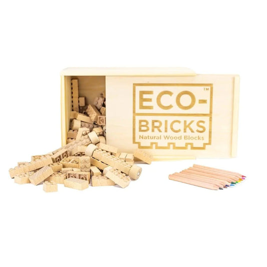 ECO BRICKS 24 PEZZI